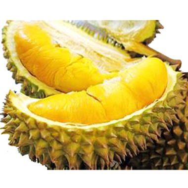 Durian powder